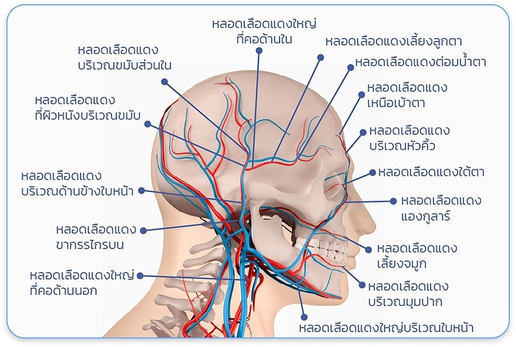 ฉีดฟิลเลอร์จุดไหน เสี่ยงอันตราย